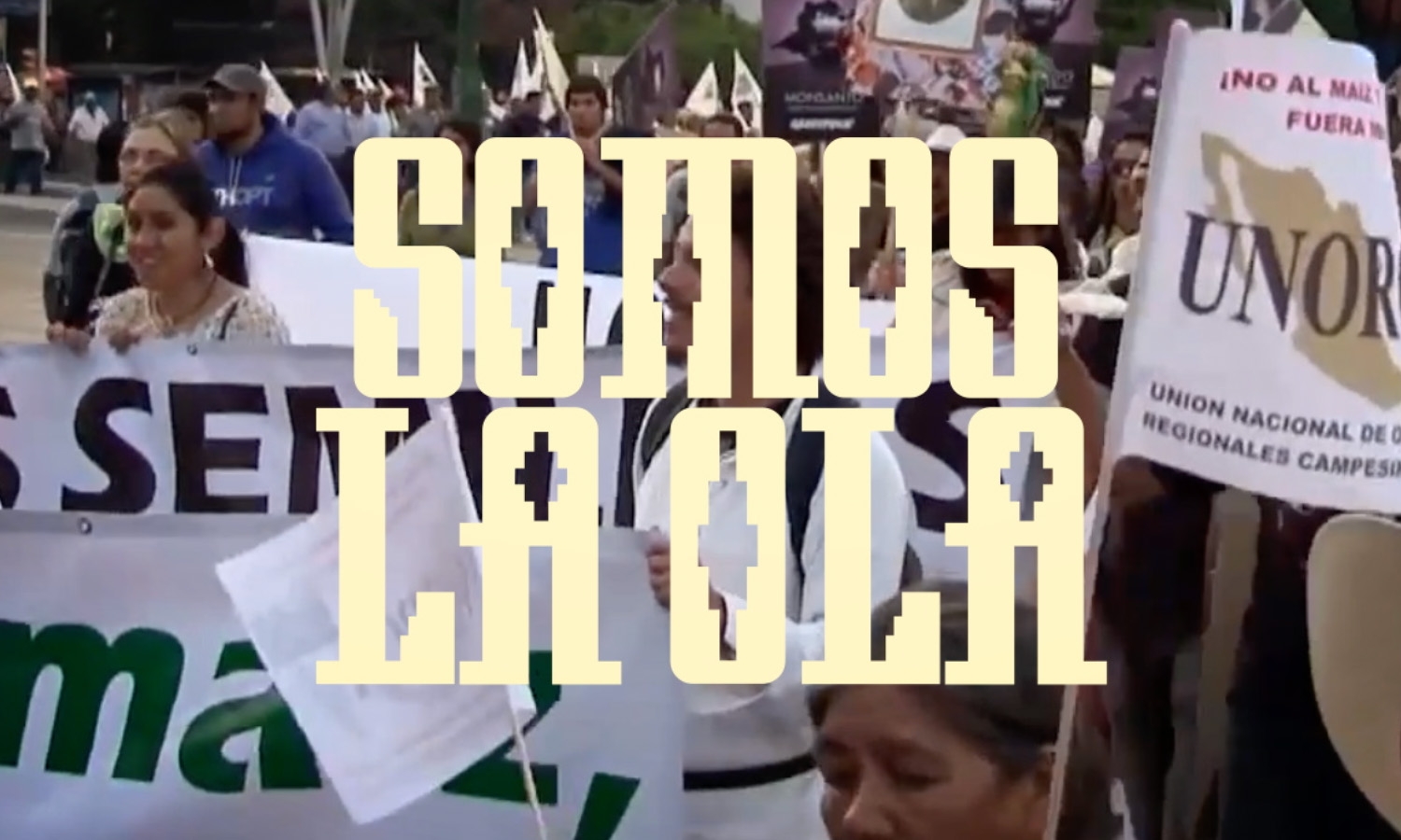 Greenpeace México - 